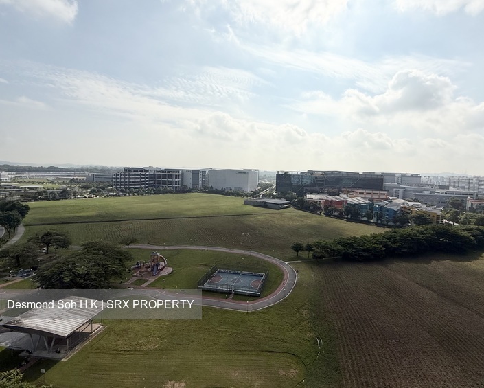 Blk 272B Jurong West Street 24 (Jurong West), HDB 5 Rooms #568814211